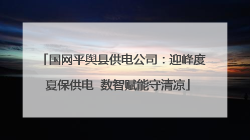 国网平舆县供电公司：迎峰度夏保供电  数智赋能守清凉