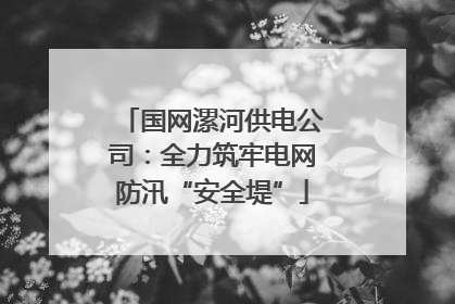 国网漯河供电公司：全力筑牢电网防汛“安全堤”