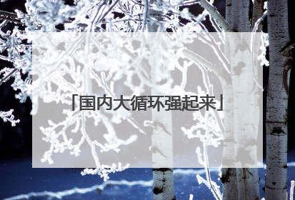 国内大循环强起来