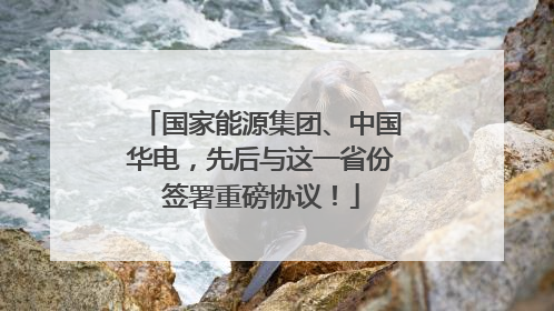 国家能源集团、中国华电，先后与这一省份签署重磅协议！