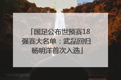 国足公布世预赛18强赛大名单：武磊回归 杨明洋首次入选