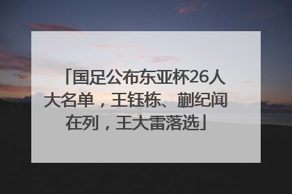 国足公布东亚杯26人大名单，王钰栋、蒯纪闻在列，王大雷落选