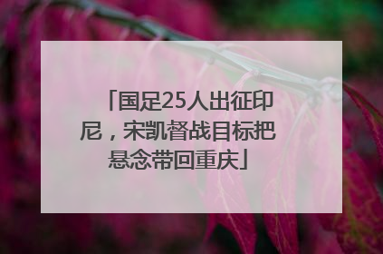 国足25人出征印尼，宋凯督战目标把悬念带回重庆