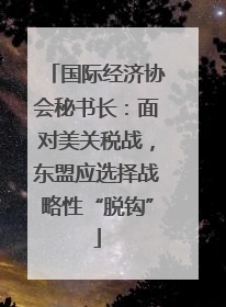 国际经济协会秘书长：面对美关税战，东盟应选择战略性“脱钩”