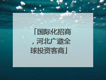 国际化招商，河北广邀全球投资客商