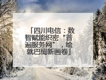 四川电信：数智赋能织密“普遍服务网”，绘就巴蜀新画卷