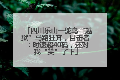 四川乐山一鸵鸟“越狱”马路狂奔，目击者：时速超40码，还对我“笑”了下