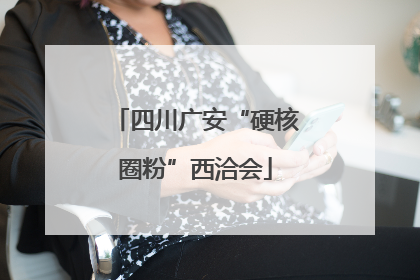四川广安“硬核圈粉”西洽会