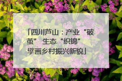 四川芦山：产业“破茧” 生态“织锦” 擘画乡村振兴新貌