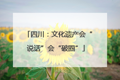 四川：文化遗产会“说话”会“破圈”