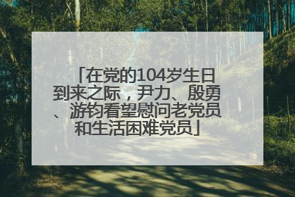 在党的104岁生日到来之际，尹力、殷勇、游钧看望慰问老党员和生活困难党员
