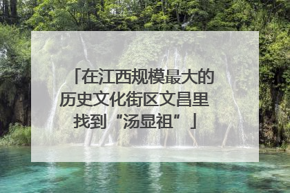 在江西规模最大的历史文化街区文昌里找到“汤显祖”