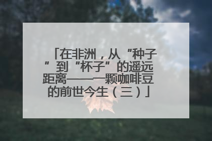 在非洲，从“种子”到“杯子”的遥远距离——一颗咖啡豆的前世今生（三）