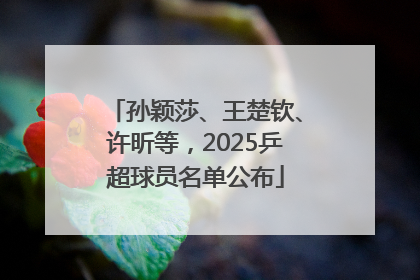 孙颖莎、王楚钦、许昕等，2025乒超球员名单公布