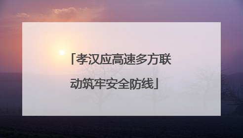 孝汉应高速多方联动筑牢安全防线