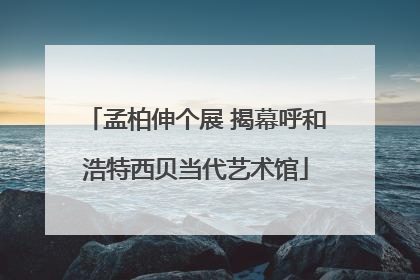 孟柏伸个展 揭幕呼和浩特西贝当代艺术馆