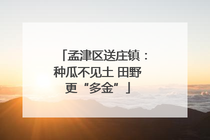 孟津区送庄镇：种瓜不见土 田野更“多金”