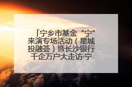 宁乡市基金“宁”来演专场活动（星城投融荟）暨长沙银行千企万户大走访·宁乡专场活动举行