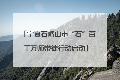 宁夏石嘴山市“石”百千万师带徒行动启动