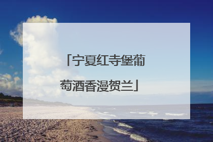 宁夏红寺堡葡萄酒香漫贺兰
