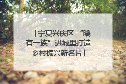 宁夏兴庆区 “曦有一族”进城里打造乡村振兴新名片