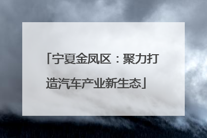宁夏金凤区：聚力打造汽车产业新生态