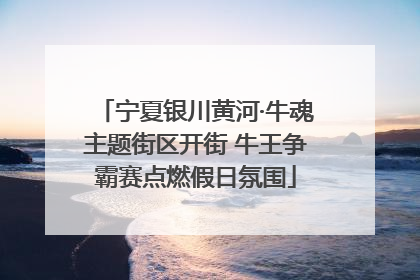 宁夏银川黄河·牛魂主题街区开街 牛王争霸赛点燃假日氛围