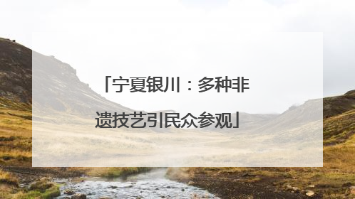 宁夏银川：多种非遗技艺引民众参观