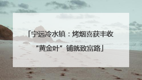 宁远冷水镇：烤烟喜获丰收 “黄金叶”铺就致富路