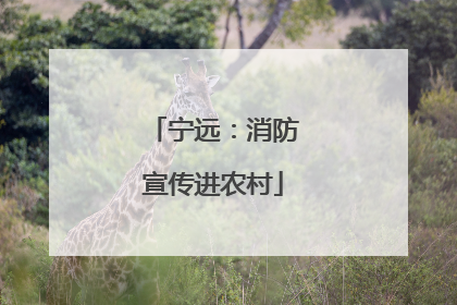 宁远：消防宣传进农村