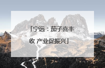 宁远：茄子喜丰收 产业促振兴