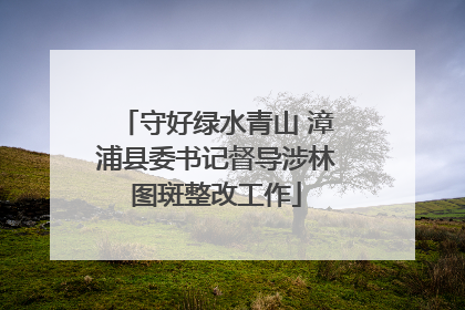 守好绿水青山 漳浦县委书记督导涉林图斑整改工作