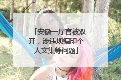 安徽一厅官被双开，涉违规编印个人文集等问题