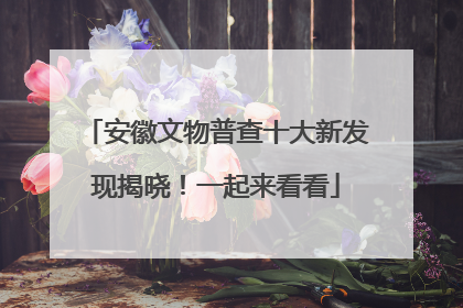 安徽文物普查十大新发现揭晓！一起来看看