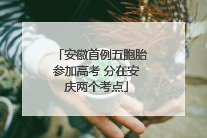 安徽首例五胞胎参加高考 分在安庆两个考点