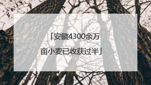 安徽4300余万亩小麦已收获过半