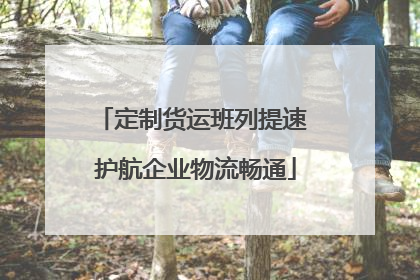 定制货运班列提速 护航企业物流畅通