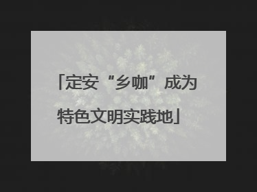 定安“乡咖”成为特色文明实践地