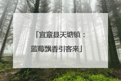宜章县天塘镇：蓝莓飘香引客来
