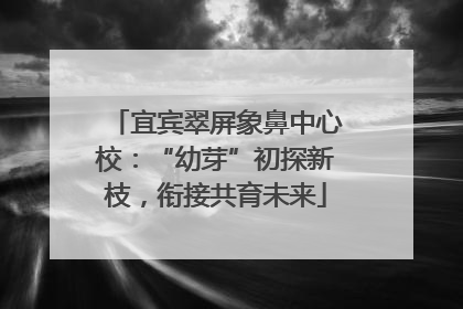 宜宾翠屏象鼻中心校：“幼芽”初探新枝，衔接共育未来