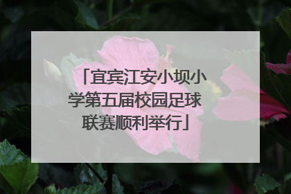 宜宾江安小坝小学第五届校园足球联赛顺利举行