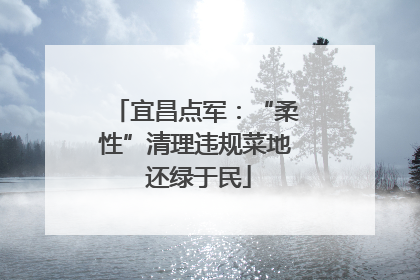 宜昌点军：“柔性”清理违规菜地 还绿于民