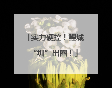 实力硬控！鲤城“圳”出圈！