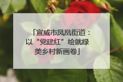 宣威市凤凰街道：以“党建红”绘就绿美乡村新画卷