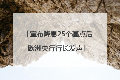 宣布降息25个基点后 欧洲央行行长发声