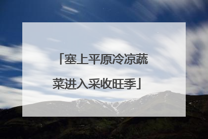 塞上平原冷凉蔬菜进入采收旺季