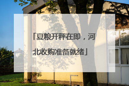 夏粮开秤在即，河北收购准备就绪