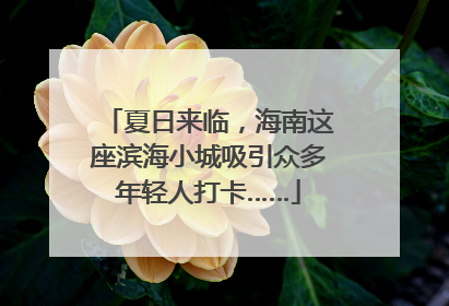 夏日来临，海南这座滨海小城吸引众多年轻人打卡……