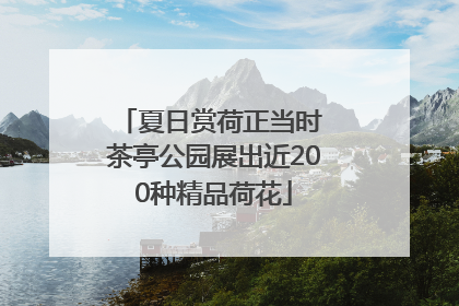 夏日赏荷正当时 茶亭公园展出近200种精品荷花