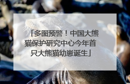 多图预警！中国大熊猫保护研究中心今年首只大熊猫幼崽诞生